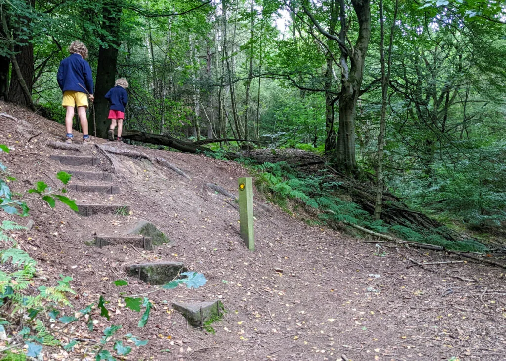 Beeley woods walk, Peak District