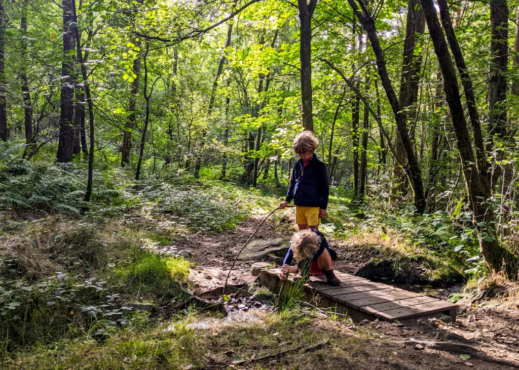 Beeley woods walk, Peak District