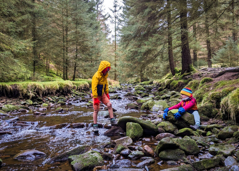 Snake Woodlands walk