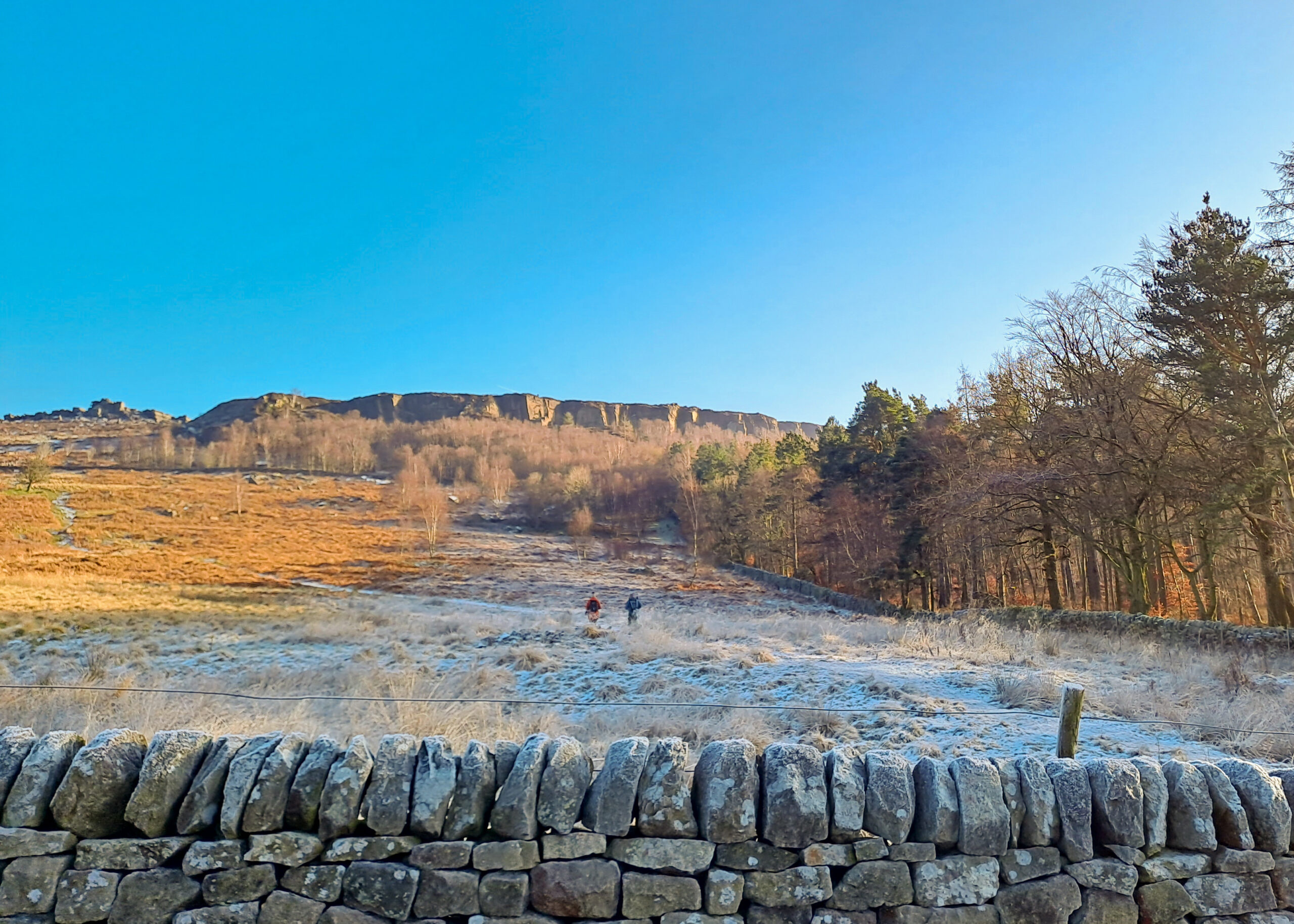 Whim Wood and Little Moor toddler walk, near Hathersage (1km, circular)