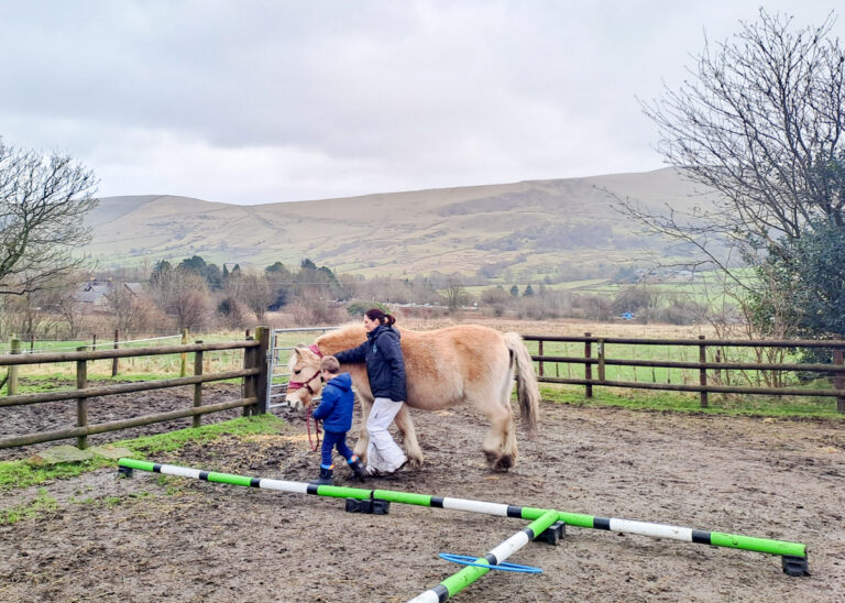 Amerron Acres horse therapy