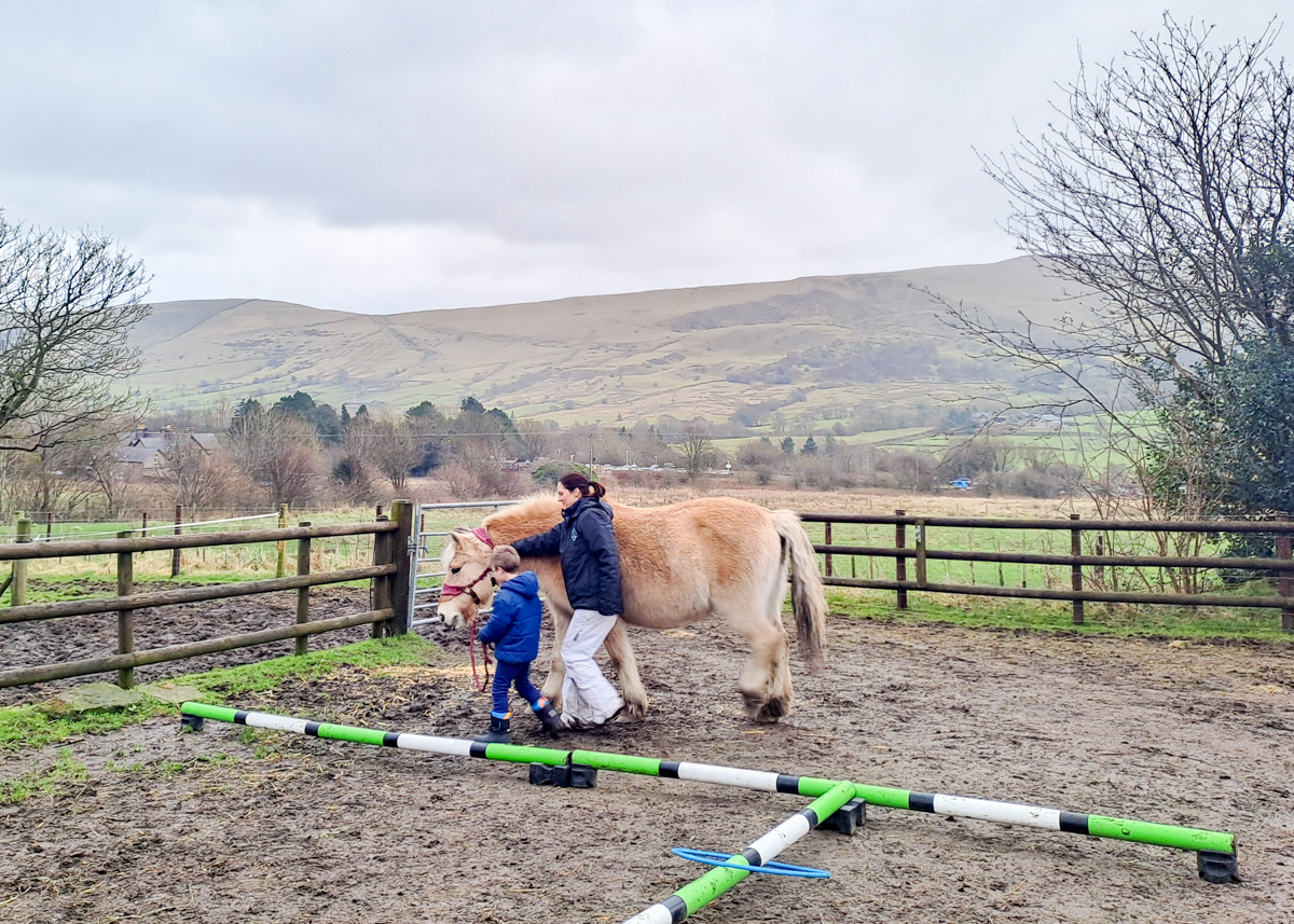 Amerron Acres REVIEW: a mental health day with horses