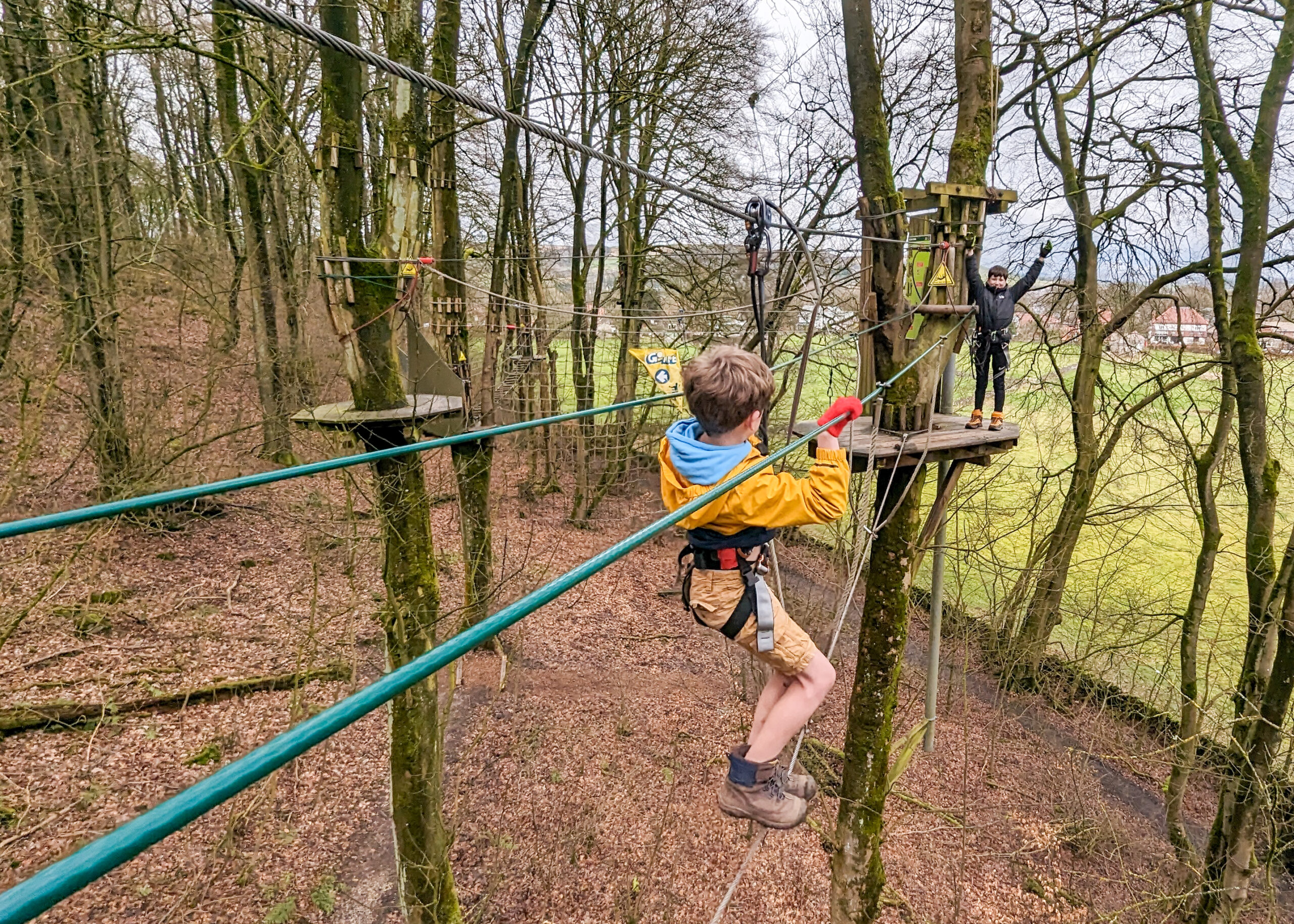 Go Ape Buxton REVIEW: tree top fun for kids aged 10+