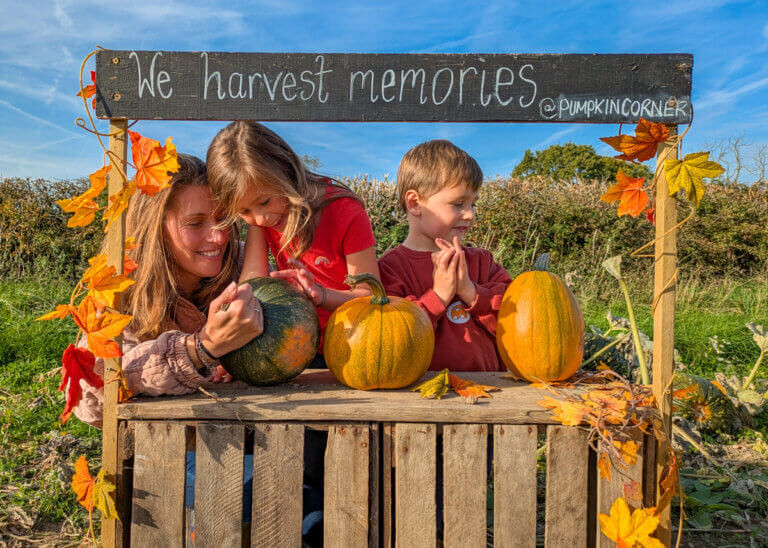 Pumpkin Corner Ashbourne