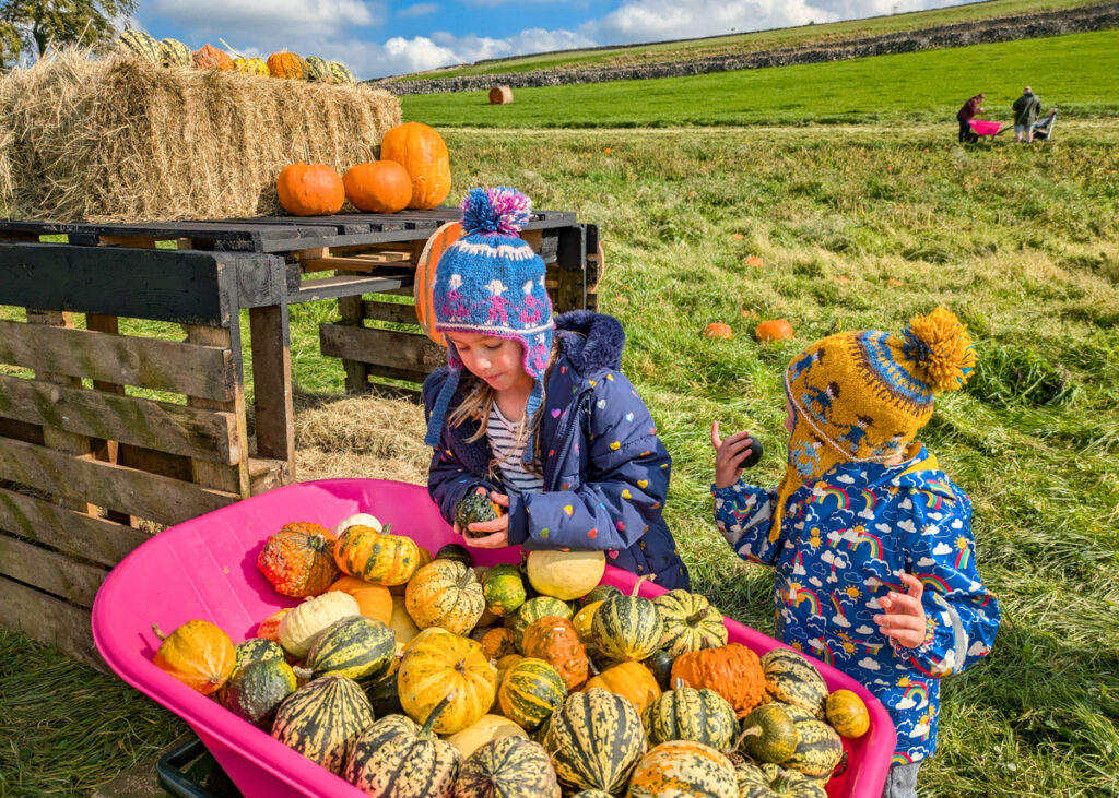 Litton Lanterns, pumpkin picking in the Peak District National Park