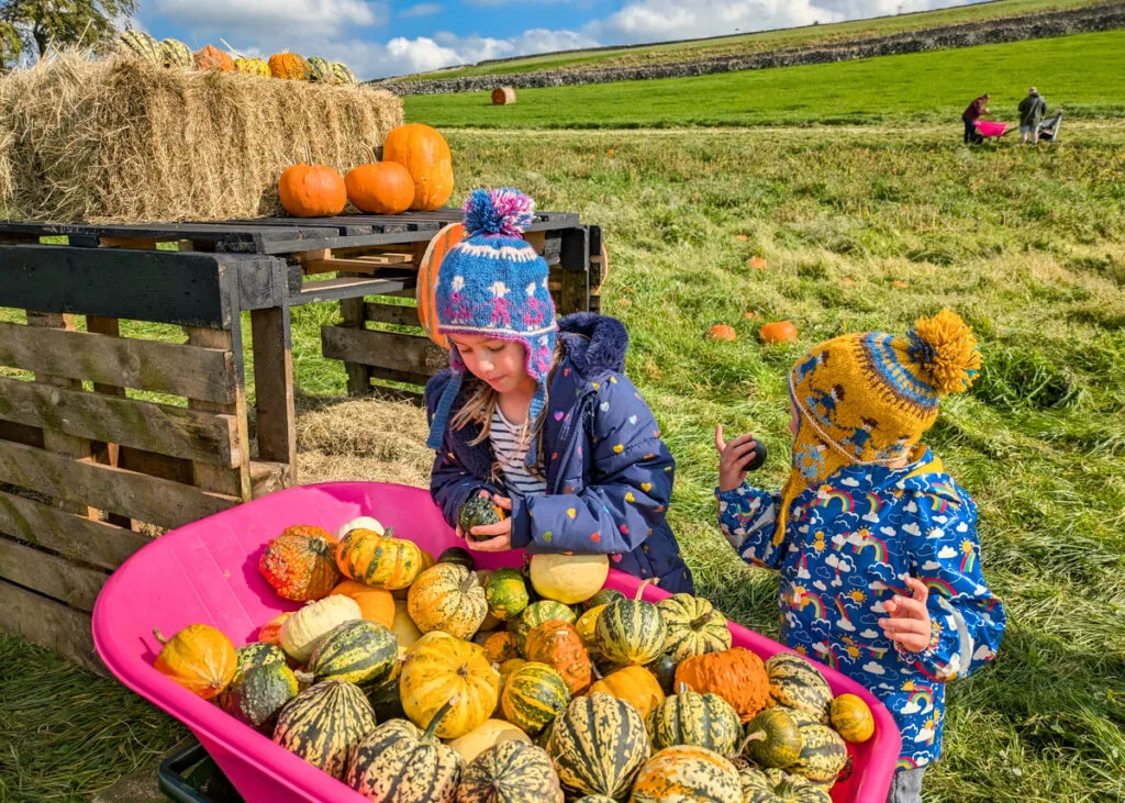 Litton Lanterns, pumpkin picking in the Peak District National Park
