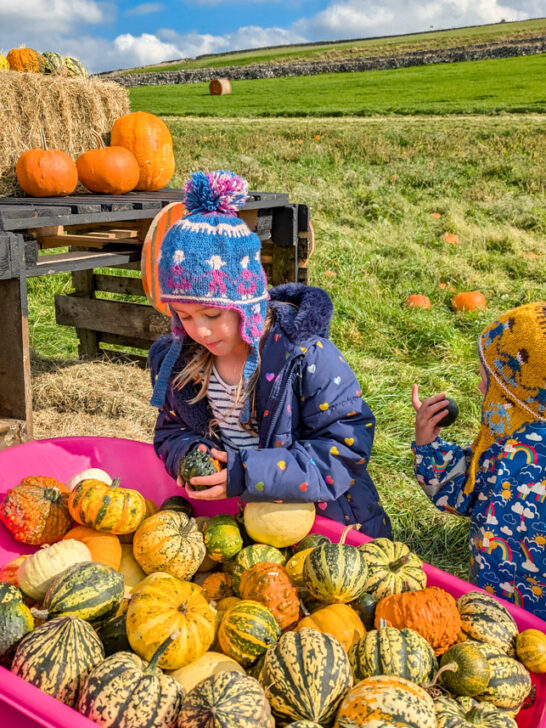 Litton Lanterns, pumpkin picking in the Peak District National Park